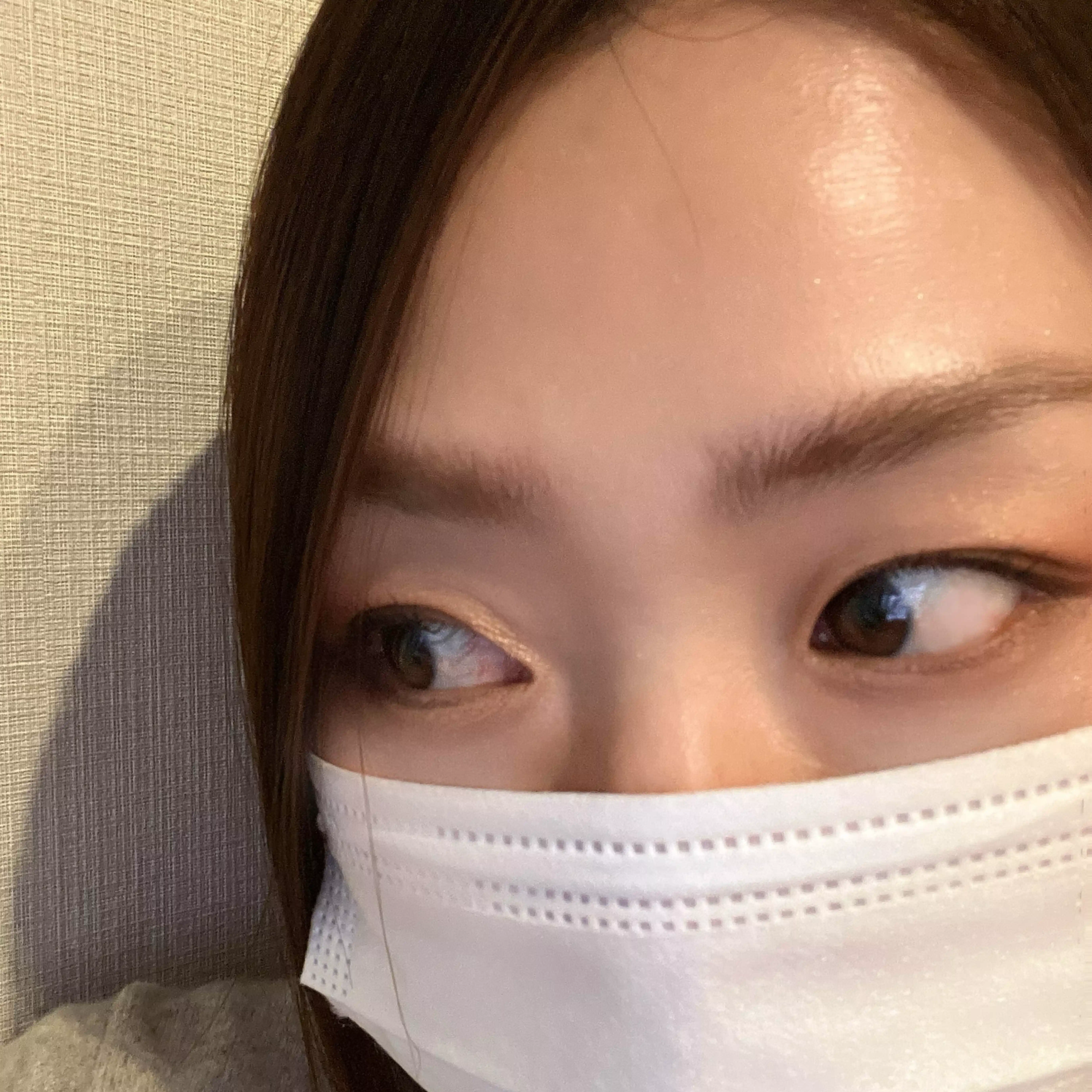 あにゃん