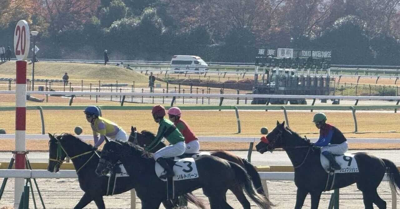 単勝馬券術】なぜ私は7〜20倍ゾーンに絞って勝負するのか｜otaka