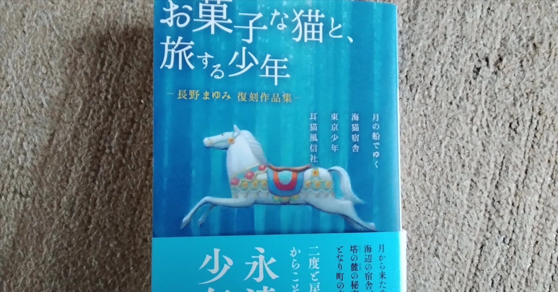 超希少！作家・長野まゆみ・幻のお茶会、初回の直筆お礼状。 お菓子な猫と、旅する少年」読了｜朧月マキ