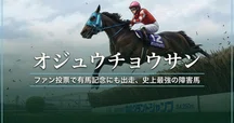 トーホウジャッカル──6戦で頂点を駆け抜けた幻の菊花賞馬｜loots