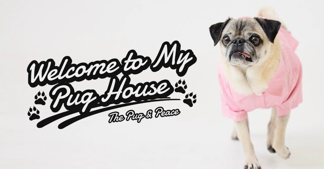 Welcome to My Pug House｜ケンスケ・コバヤシ｜Sales Ops ｜Pug & Peace