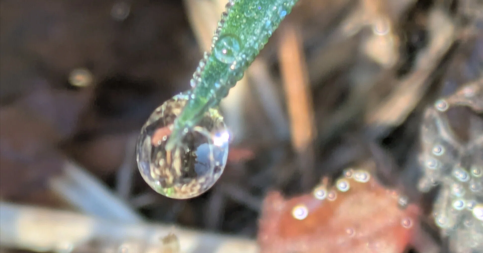 水滴（すいてき） 水滴写真 ‐ 水を止めると面白い2 - ハワイ生活のブログ