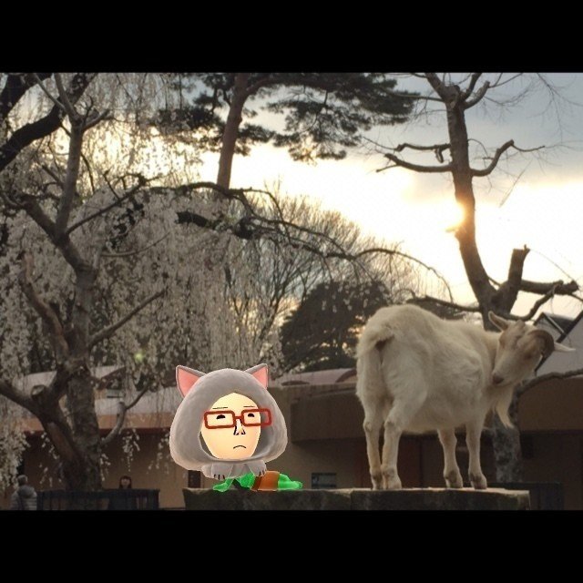 Miitomoのmiiフォト面白い 群馬のもり Note Miitomoのmiiフォト面白い 群馬のもり Note