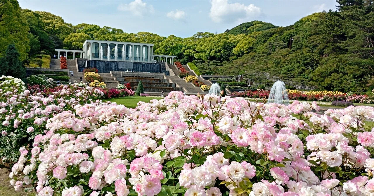 須磨離宮公園｜宵の庭師