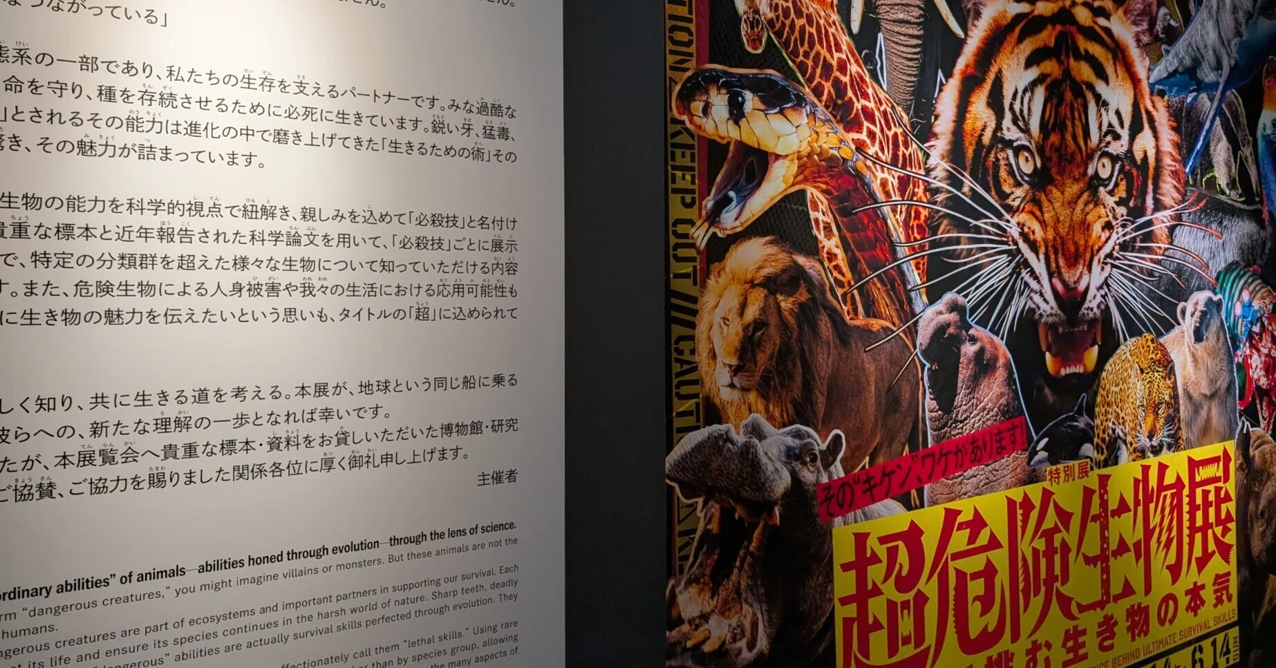 超危険生物展とかこさとしの科学絵本企画展に行ってきました（国立科学