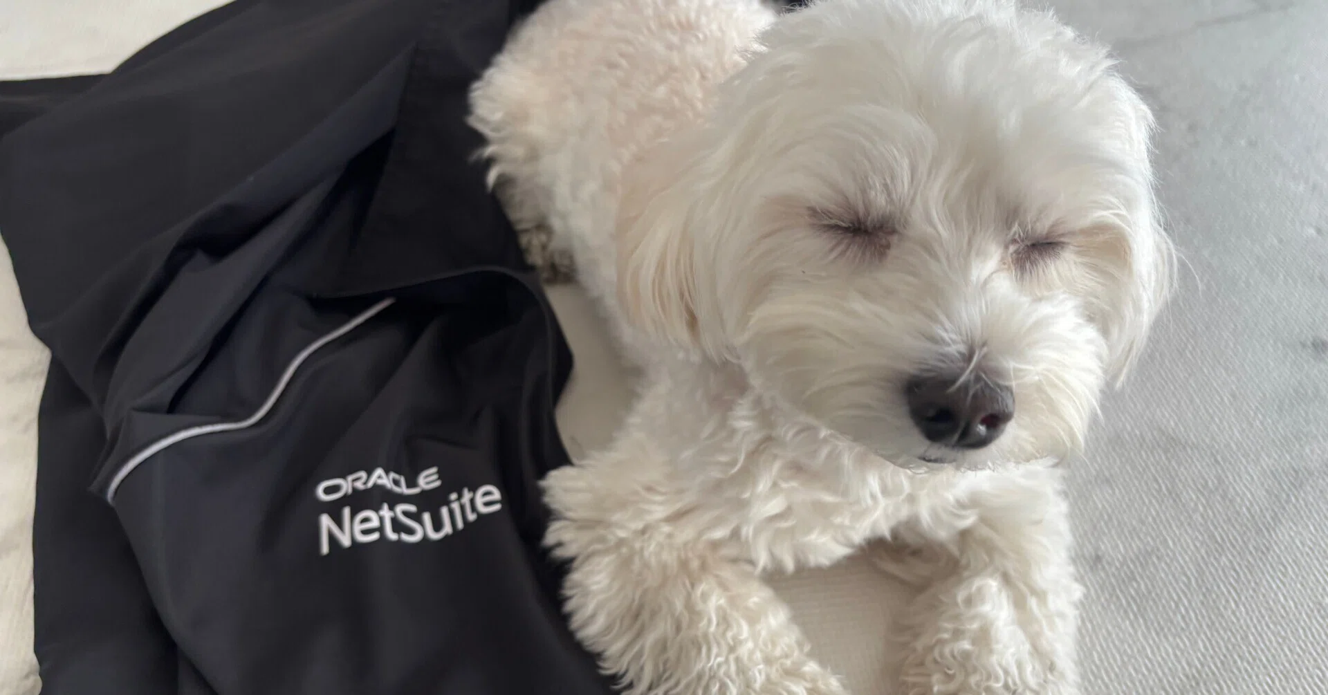 月末締め前の確認漏れを減らす。NetSuite MCPで経理の締め前チェックを