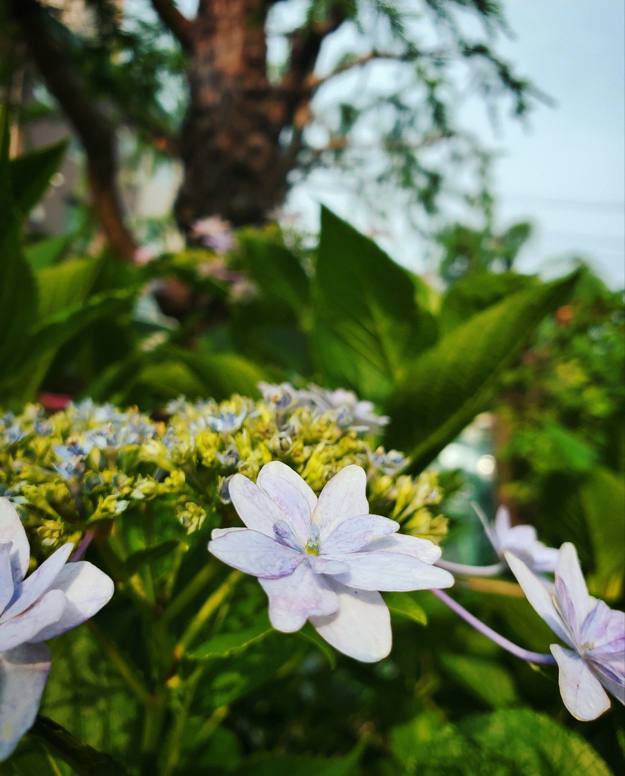 年6月6日 土 の空 森田miw Note