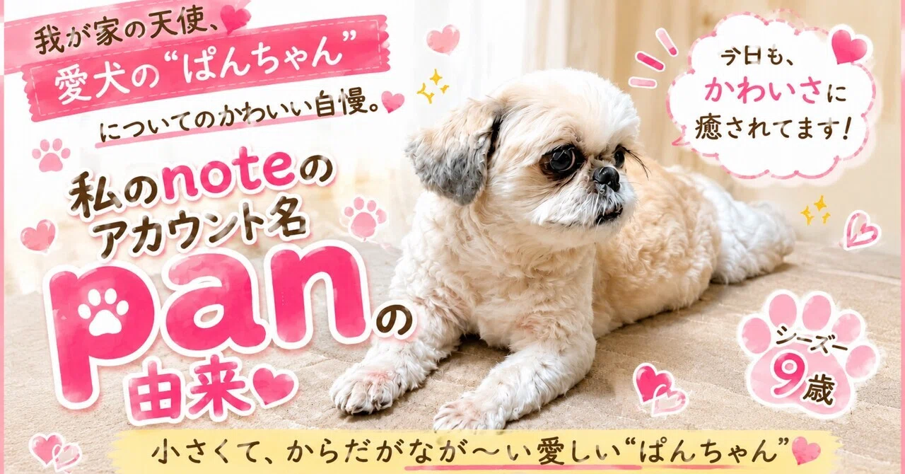 我が家の天使、“ぱんちゃん”の話。｜pan
