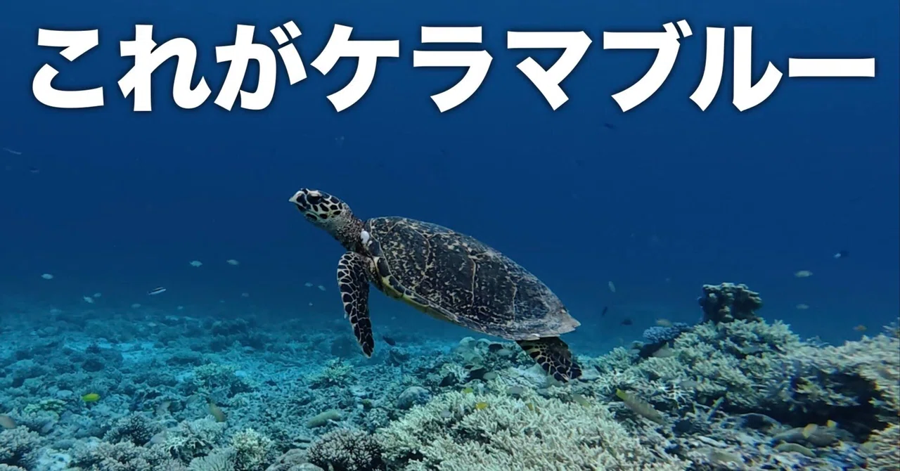 沖縄・座間味島】2泊3日モデルコース｜ケラマブルーが別格だった【保存
