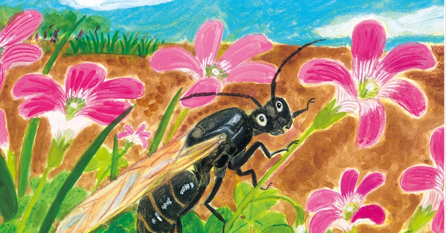 新刊絵本】じょおうありの りんちゃんうまれたよ! ｜童心社