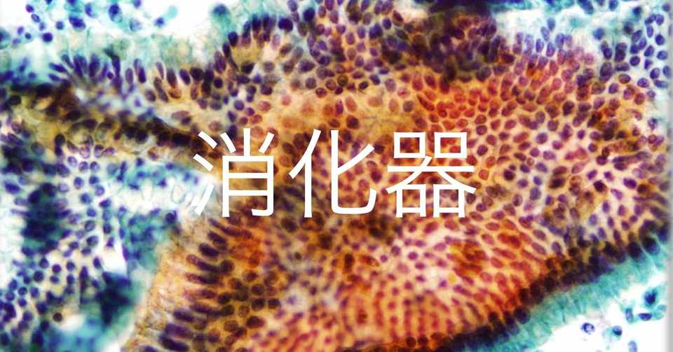 Web学習アプリ 消化器 18年度第51回細胞検査士筆記試験 Hiro3 Note