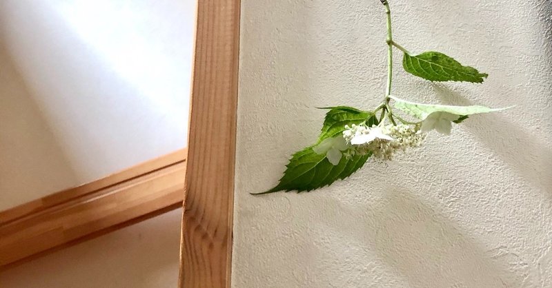 6月6日の紫陽花のおまじない ゆのきりょうこ Note