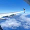 リュナの備忘録