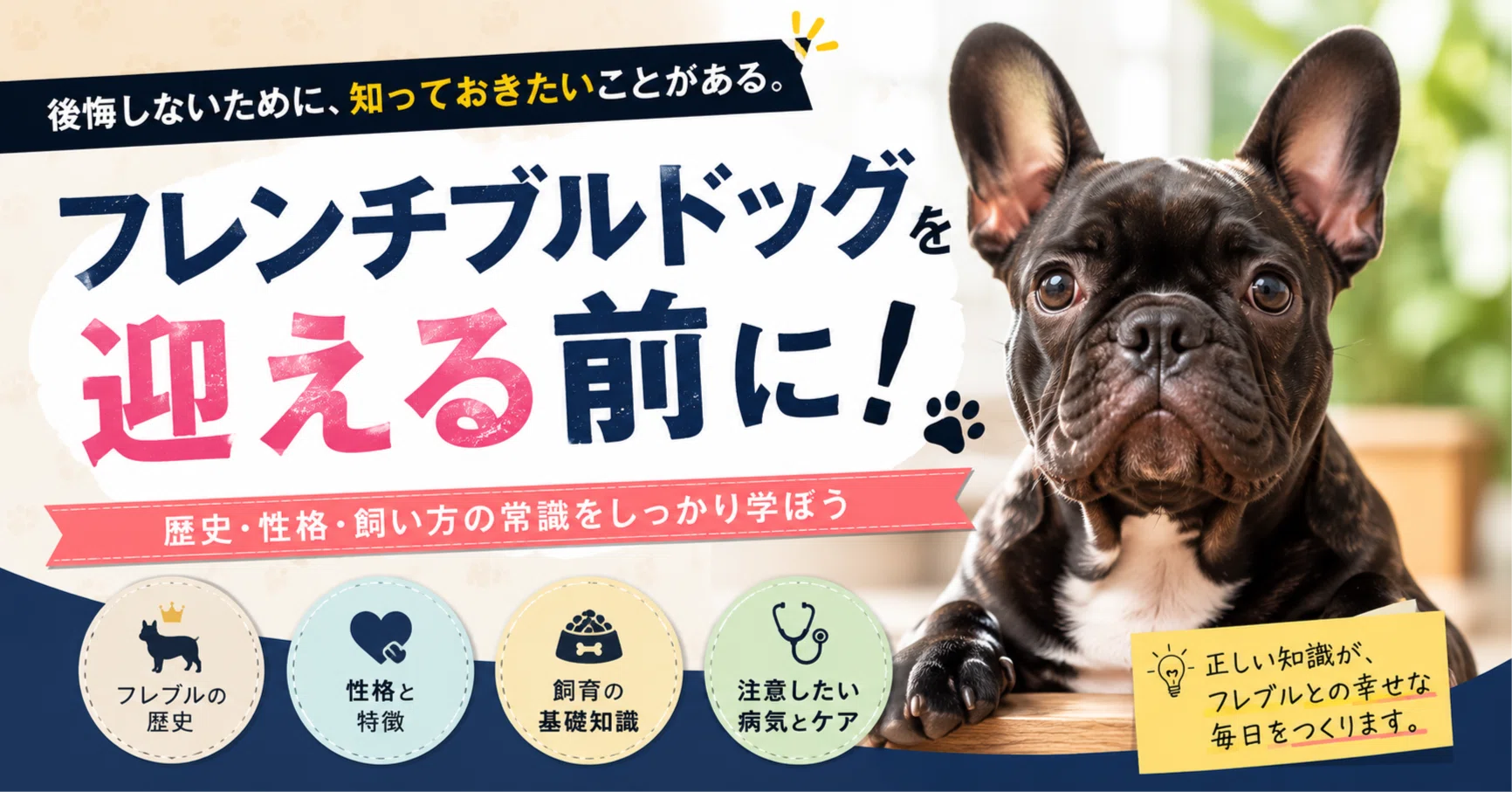 かわいい”だけで迎えると後悔します】フレンチブルドッグは初心者向き