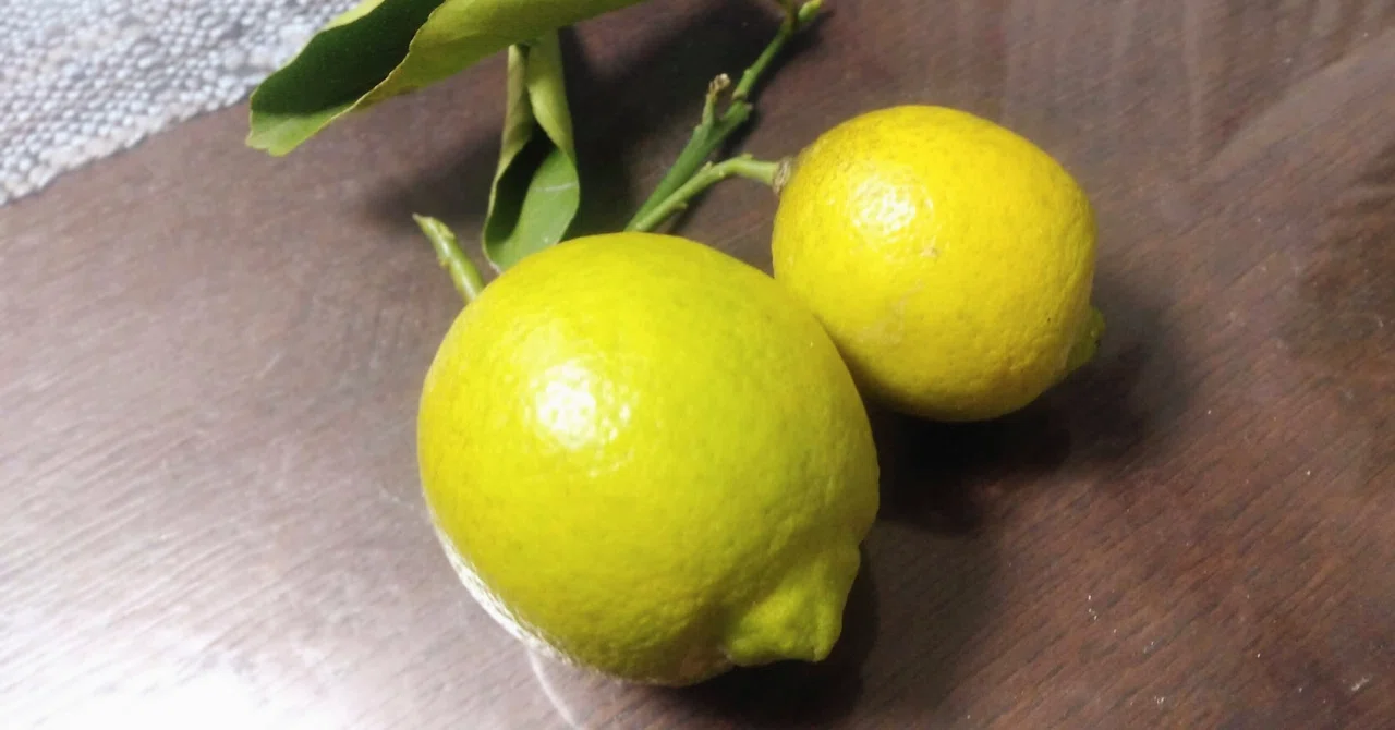 [No.652] The heart is gasoline, passion is combustion｜れもん🍋言葉のビタミンC