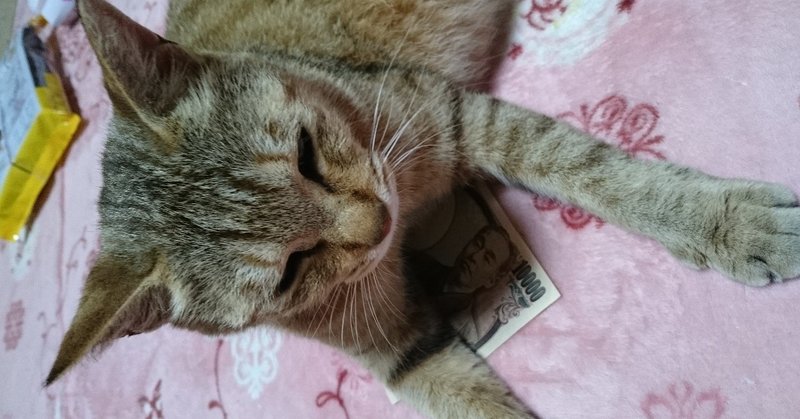 ネコと給付金。