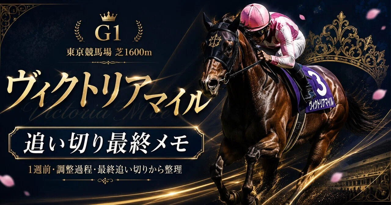 早い者勝ち!! 最高級馬場鞍  Overture Victoria 美品 乗馬 スポーツ/アウトドア その他 早い者勝ち!! 最高級馬場鞍 Overture