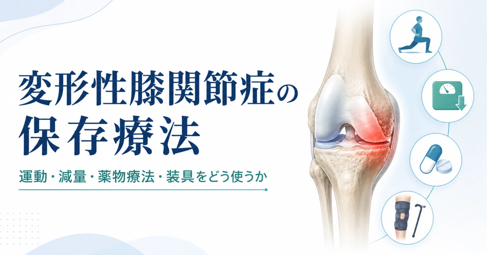 変形性膝関節症の保存療法：筋トレの「その先」へ。科学的根拠に基づく