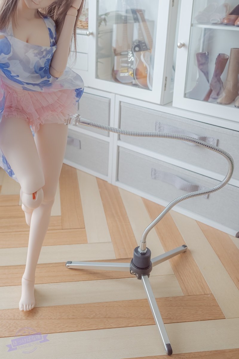 ドール撮影者のためのスタンド使い分け入門 ほっけ バジーナ17歳 僧侶枠 Note