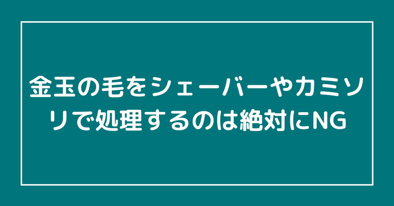 金玉 の新着タグ記事一覧 Note つくる つながる とどける