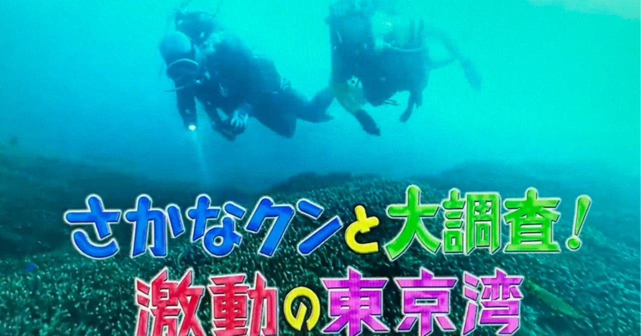 TVチャンピオン』出身・さかなクンが伝えた、東京湾の知られざる生態系