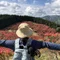 suzu.ゆるく整える暮らし