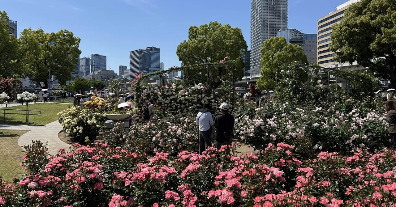 2つのバラ園〜中之島バラ園と長居植物園バラ園｜さやぷ