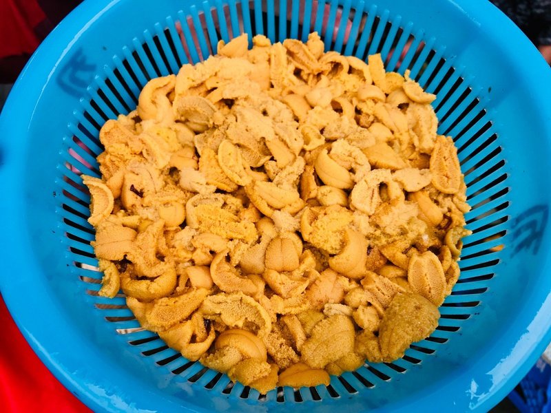 尾崎半島 もう食べた 今が旬の生ウニ丼 半島同盟 Peninsula Union Note