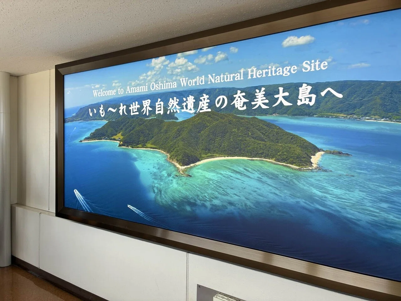 4泊5日2度目の奄美大島ワーケーション(?)day1羽田→奄美大島2026.5.15