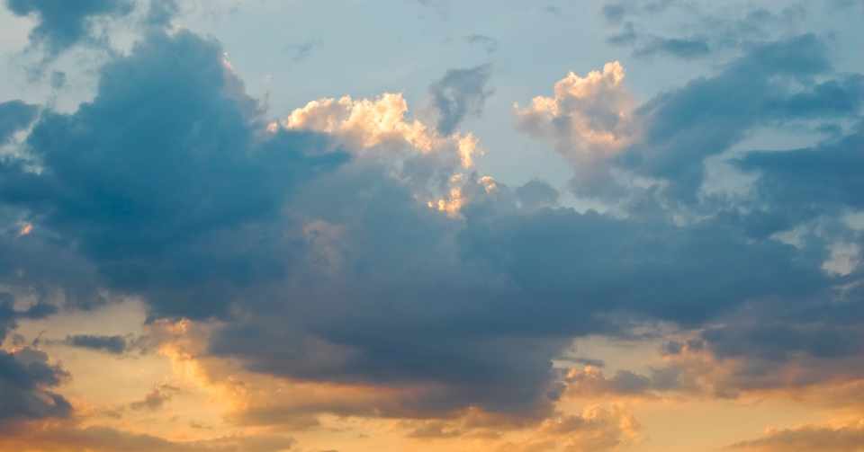 インセイン 意味