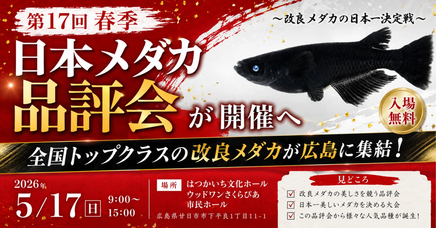 第17回 春季 日本メダカ品評会が開催へ｜全国トップクラスの改良メダカ