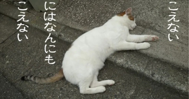 【論点解説】行政法〜形式的当事者訴訟の理解