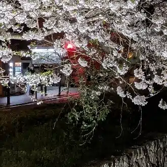 さくさくの感想日記