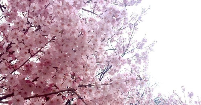 櫻井翔尊敬歴18年の私もアニキ会に入れて欲しい Shiori Note