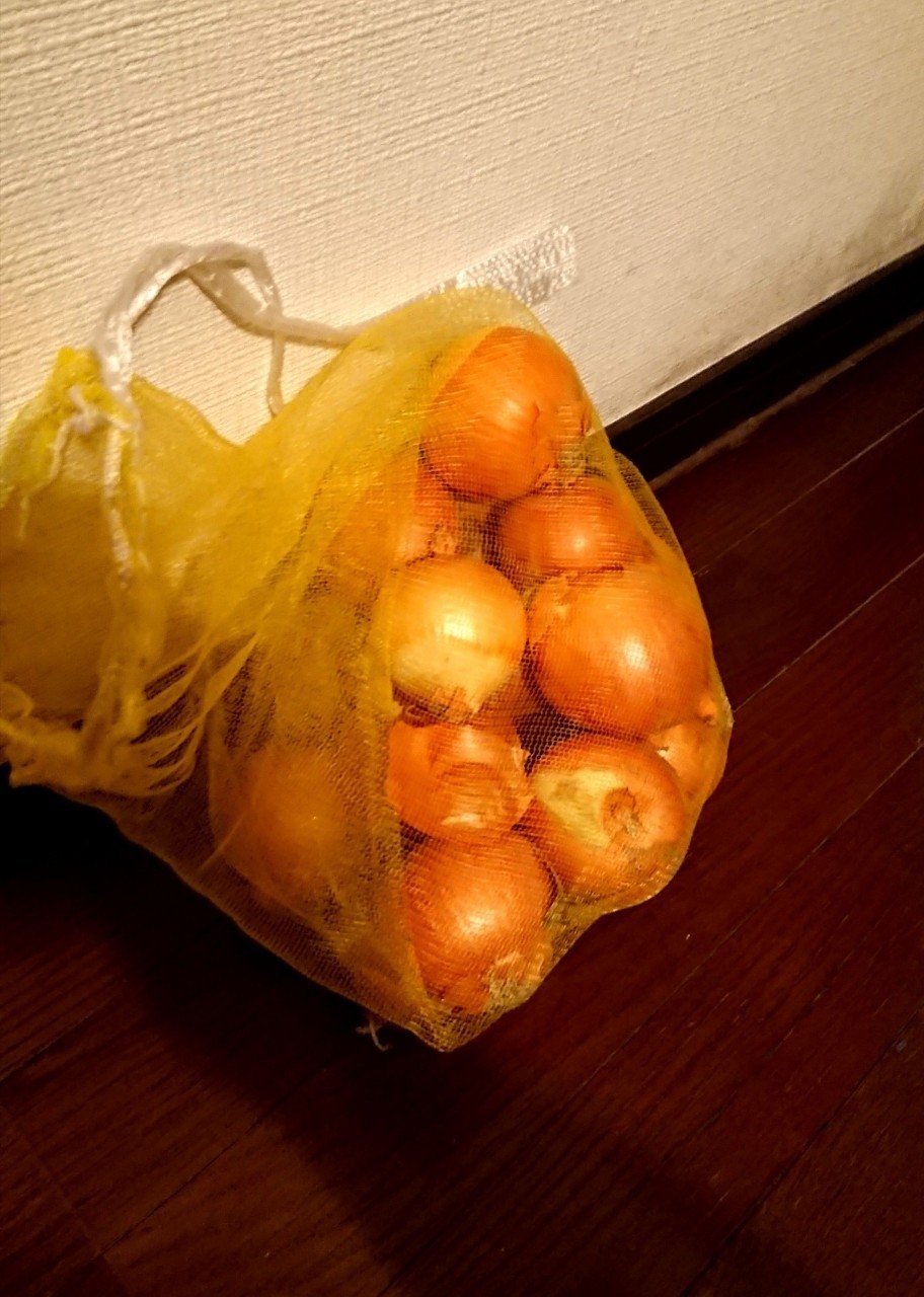 玉ねぎを長ねぎにして食べるまでの記録 髙橋多聞 Note 玉ねぎを長ねぎにして食べるまでの記録 髙橋多聞 Note