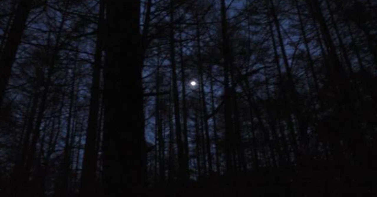 夜の山で遭遇したら1番怖い生き物 スーパーマラドーナ武智 Note 夜の山で遭遇したら1番怖い生き物 スーパーマラドーナ武智 Note