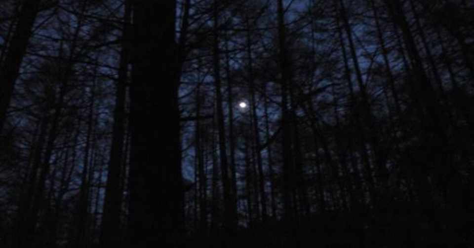 夜の山で遭遇したら1番怖い生き物 スーパーマラドーナ武智 Note