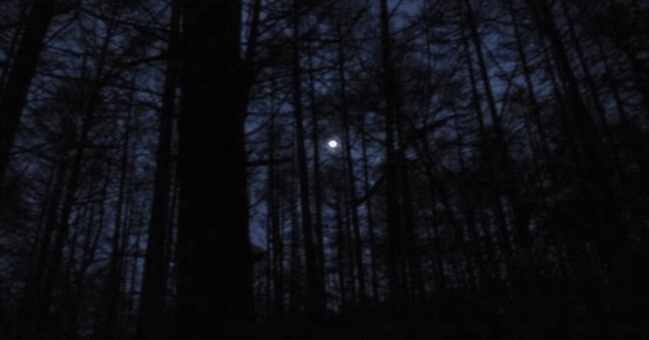 夜の山で遭遇したら1番怖い生き物 スーパーマラドーナ武智 Note