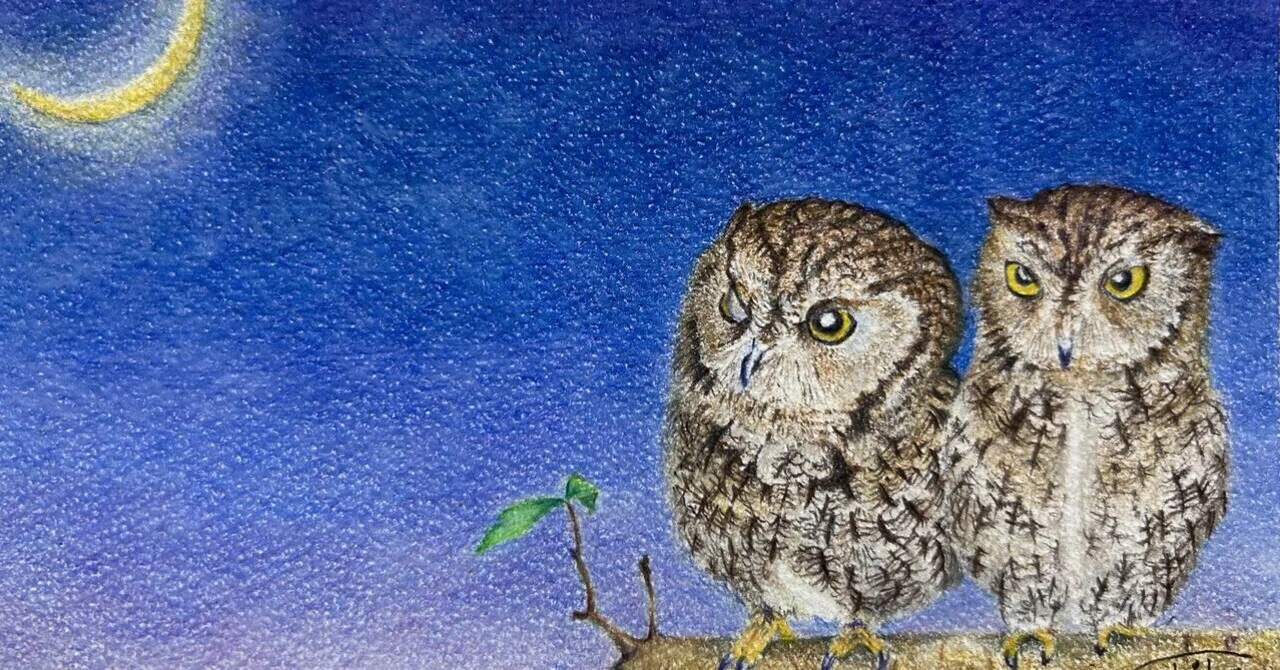 鳥ばっかり展」開催｜shiho【色鉛筆画】