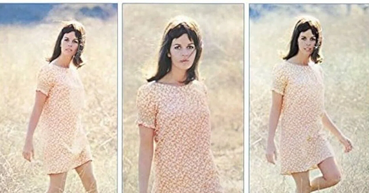 □CLAUDINE LONGET / クロディーヌロンジェ□ Let's Spe