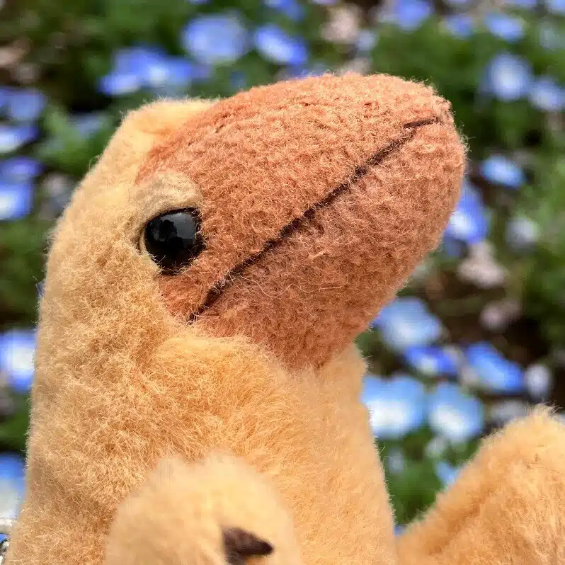 わらばんし
