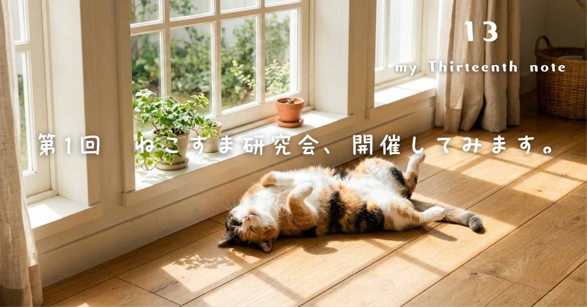 第1回 ねこすま研究会、開催してみます。｜ことねこ堂 廣澤彩芽｜猫
