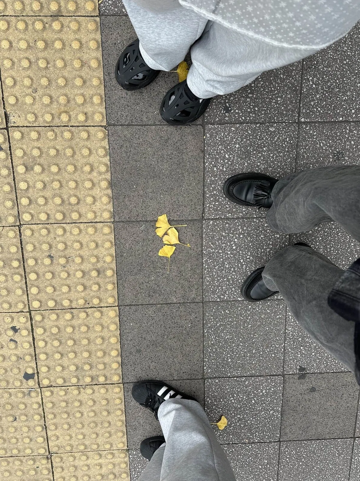 【日常】2024年12月｜仮面の戦士