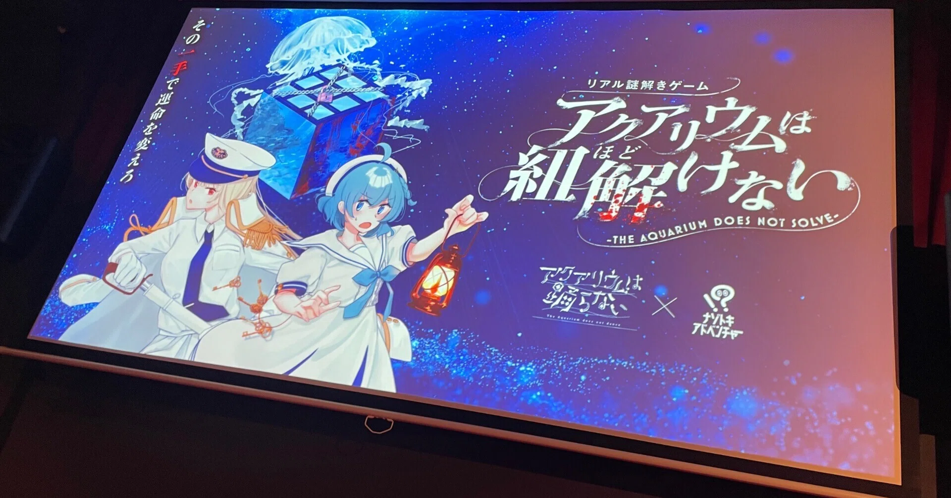 アクアリウムは紐解けない感想レポート｜黒いヘビ
