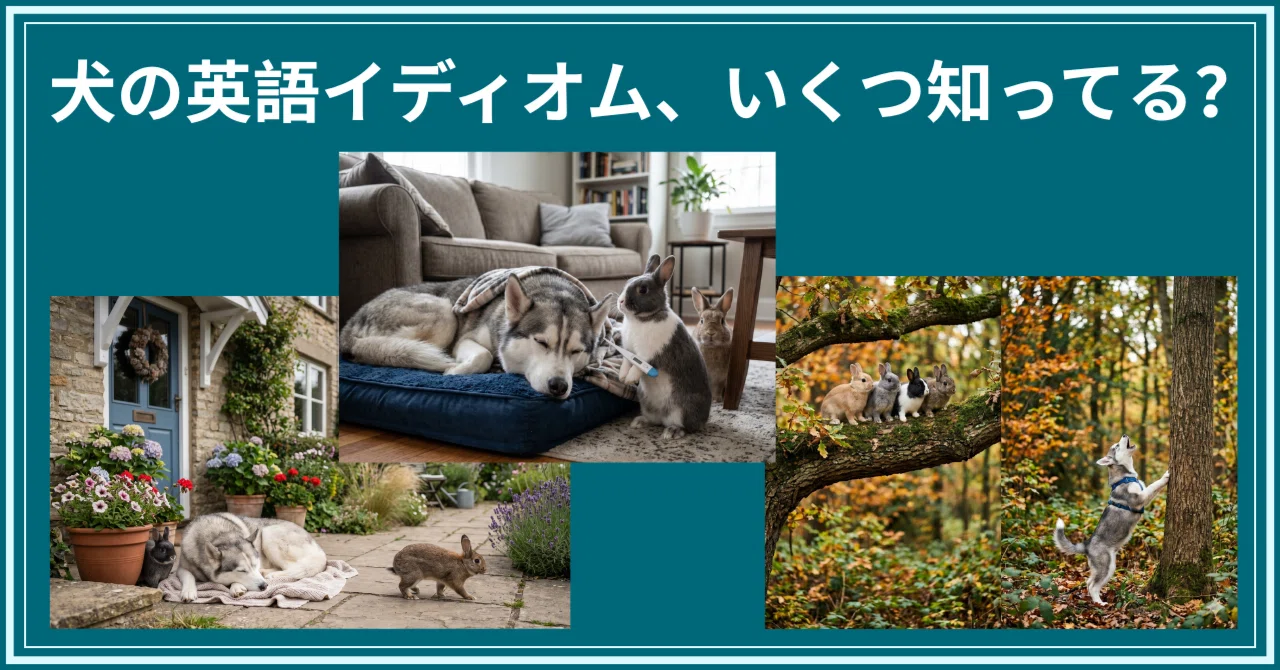直訳すると意味不明な英語｜「犬」にまつわる日常イディオム4選！映画 