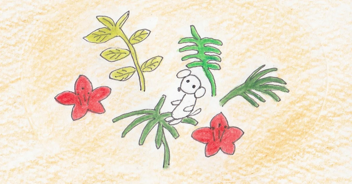 画像6