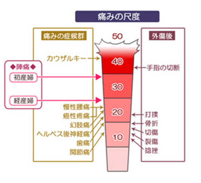画像でみる不妊治療 出産のイターイはなし りんぎょちゃん 10代から知ってほしい妊活と不妊のリアル Note