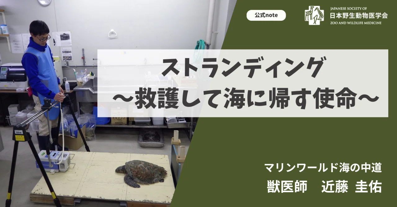 海 の 中 道 動物 病院