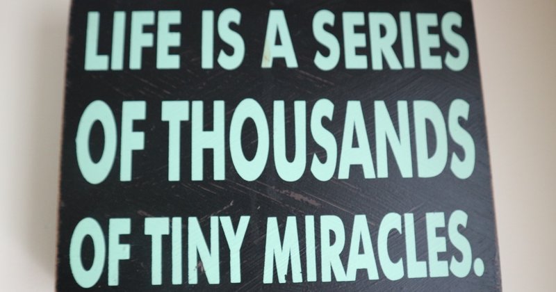 私の英語勉強方法 勉強しないこと 若井麻友子 Note