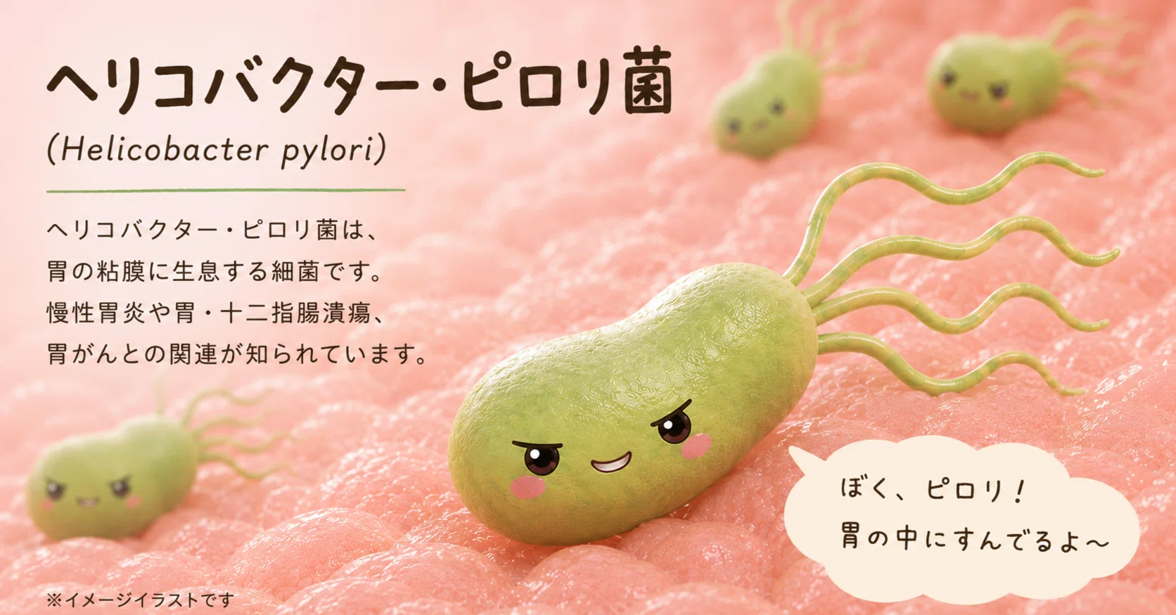 2，ピロリ菌除菌治療とは？治療前の内視鏡検査から除菌判定まで解説